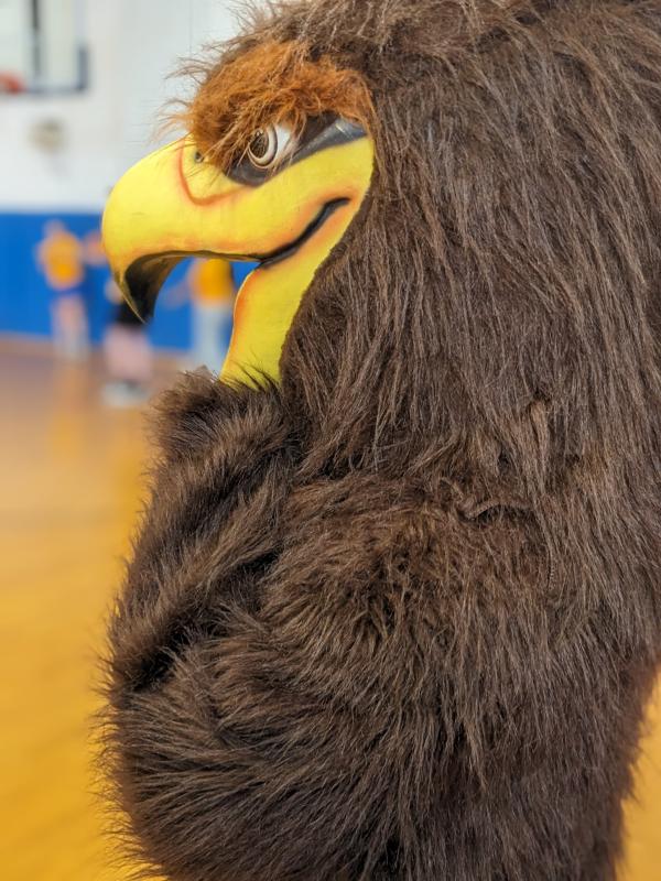 Ella Watts as Seahawk mascot. CANDI JONETH/Boothbay Register