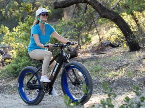 ebike, electricbike, electric_bike, electric_vehicles, pedego, pedego boothbay harbor, maine, boothbay harbor