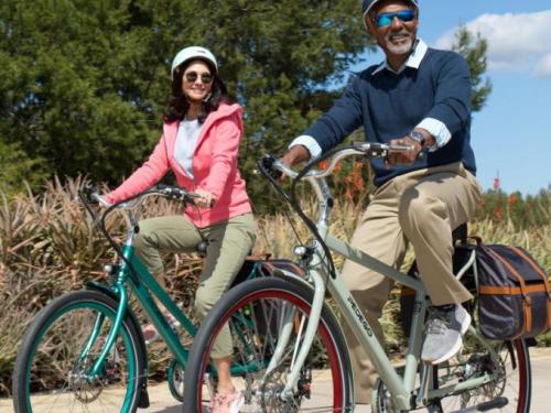 ebike, electricbike, electric_bike, electric_vehicles, pedego, pedego boothbay harbor, maine, boothbay harbor