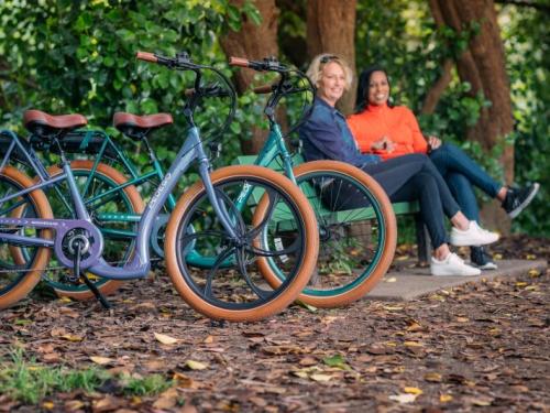 ebike, electricbike, electric_bike, electric_vehicles, pedego, pedego boothbay harbor, maine, boothbay harbor