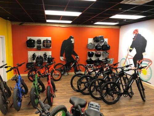 ebike, electricbike, electric_bike, electric_vehicles, pedego, pedego boothbay harbor, maine, boothbay harbor