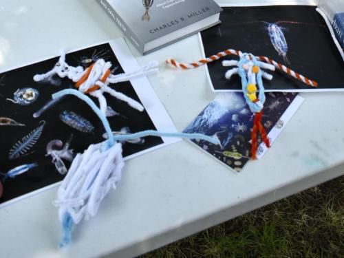 test image 3