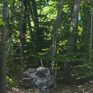 This boulder is part of the controversy between two Edgecomb neighbors. Courtesy photo