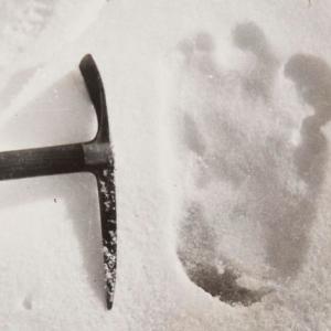 Yeti footprint photographed by Eric Shipton in 1951.