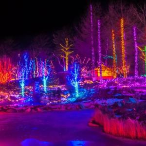 The Garden’s are open for business and so is Brady’s!! Open Restaurants, Garden’s Aglow