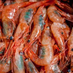 Every Wednesday this winter is fried Maine Shrimp Night! Come and get them! Open Restaurant, fried shrimp