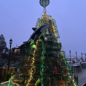 Come check out Shamu on the trap tree!! He swam on in yesterday and decided to stay!! open restaurants, whales, food, NFL